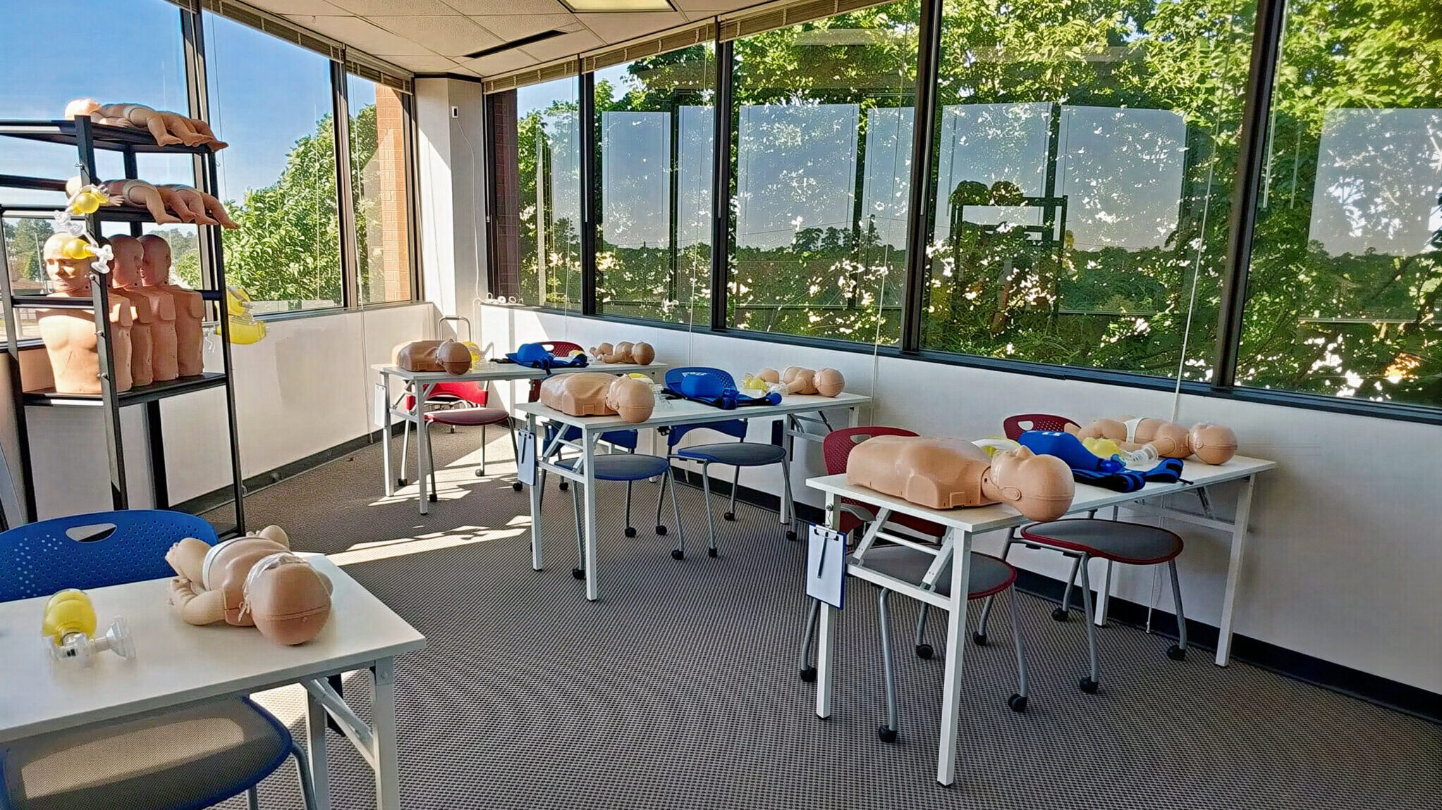 20230422_100757-scaled-e1734769930933_LE_upscale_prime_light_ai_100_tone_enhance_50_color_enhance_50